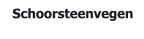 Schoorsteenvegen